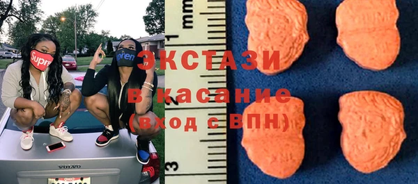 шишки Беломорск