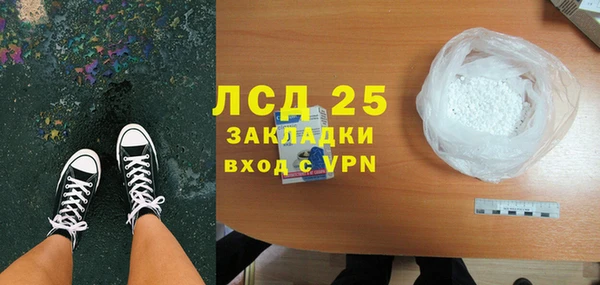 шишки Беломорск