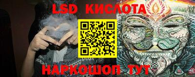 PSILOCYBIN Бийск