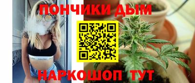 индика Беслан