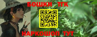 индика Беслан