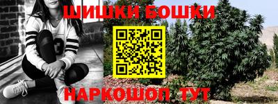 PSILOCYBIN Бийск