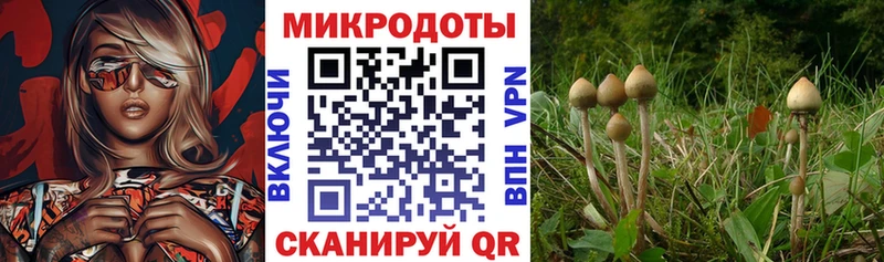 Галлюциногенные грибы прущие грибы  наркотики  ОМГ ОМГ вход  Верхний Уфалей 