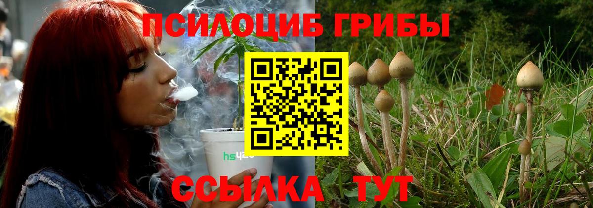 Псилоцибиновые грибы Psilocybine cubensis  Псилоцибиновые грибы Psilocybe  Вход с VPN  Верхний Уфалей 
