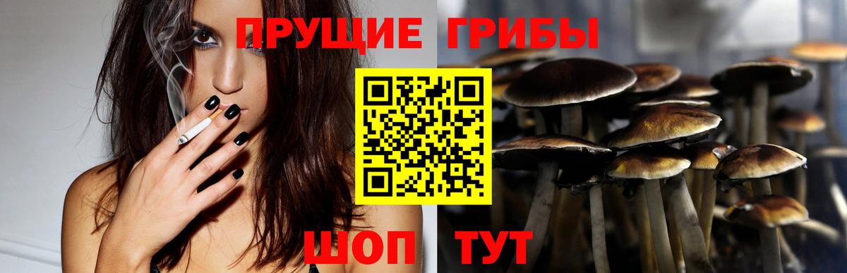 Галлюциногенные грибы Psilocybine cubensis  Верхний Уфалей 